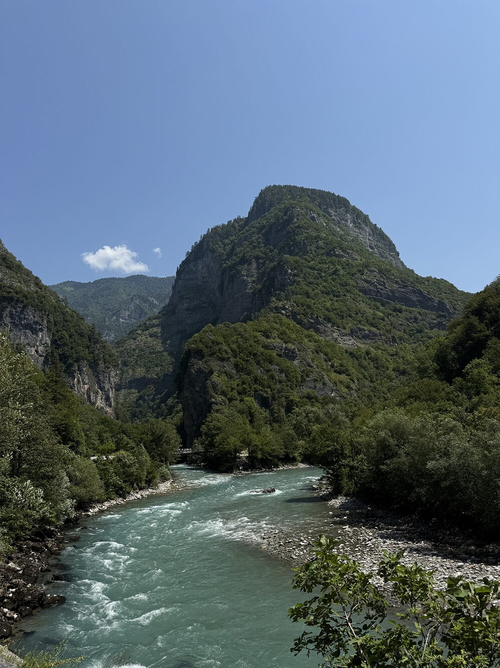 IMG_3041